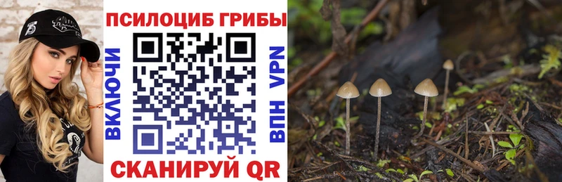 Галлюциногенные грибы ЛСД  Рыбное 